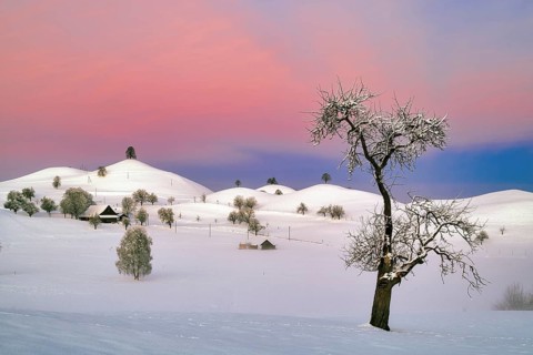 Snow-covered hilly landscape at dawn, Menzingen, Canton Zug, Switzerland, Europe