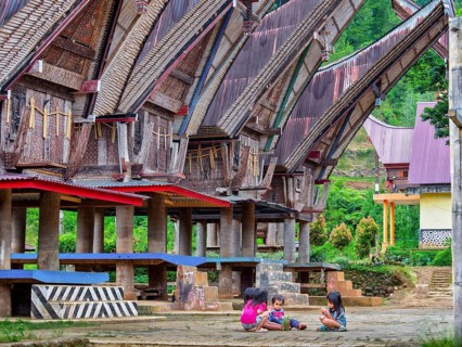 Traditional Toraja houses, children playing, Limbong village, Tana Toraja, Sulawesi, Indonesia,
