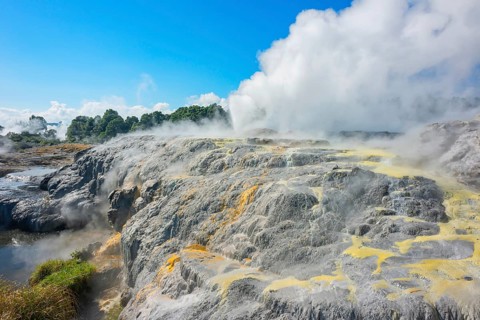 Prince of Wales and Pohutu geysers erupting, Te Puia Thermal Valley, Rotorua, Bay of Plenty, North