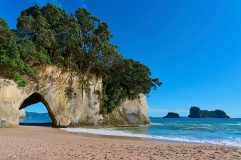 Coastline with a natural rock arch on the beach, surrounded by trees and sea, Cathedral Cove,