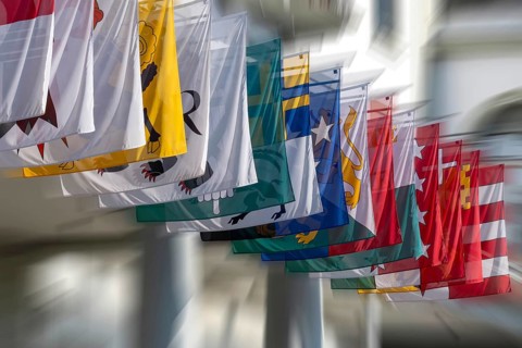 Symbolic photo of cantonal flags, Switzerland, Europe
