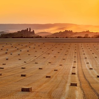 View over stubble field with straw bales to the Devil's Wall at sunset, fog rising, Weddersleben,