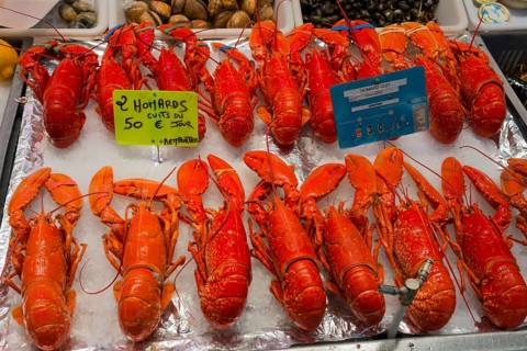 Red lobsters on a market display, price tags visible, fish market, Trouville-sur-Mer, Trouville,
