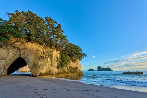 Rock with cave on the beach, sea and trees in the background, in calm weather, Cathedral Cove,