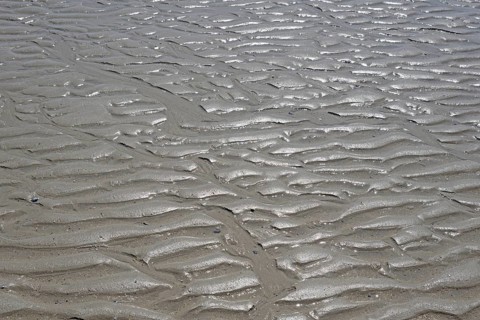 Beach at low tide with wave-like structure, current ripples in wet sand, North Sea, Norderney, East