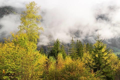 Autumn scene, landscape covered in the clouds, Malta valley, Carinthia, Austria, Europe