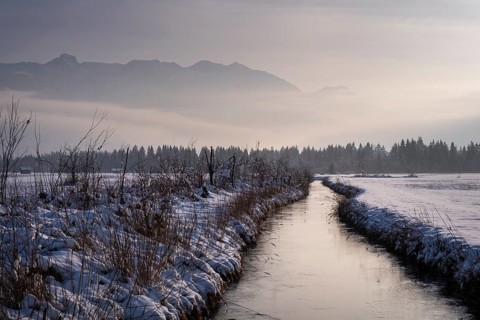 Murnauer moss in winter, near Murnau, Upper Bavaria, Bavaria, Germany, Europe