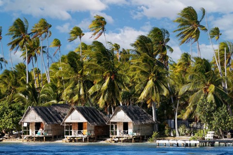 Simple, simple, bungalows, bungalow with terrace on the beach, tall coconut palms, palm tree (Cocos
