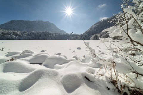 Freibergsee in winter, near Oberstdorf, behind it the Himmelschrofen, 1791m, and the Heini-Klopfer
