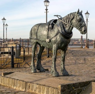 Sculpture 'Waiting' by Judy Boyt celebrating the working horses of the docks, Pier Head, Liverpool,