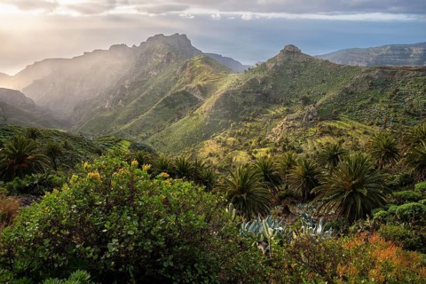 View of the Barranco Juan de Vera in the morning. Mountains, palm trees, rocks and sea. Near