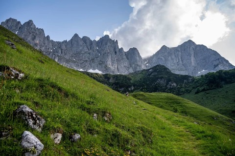 Mountain meadow, rocky mountain peaks of the Wilder Kaiser, Kaiser Mountains, Tyrol, Austria,