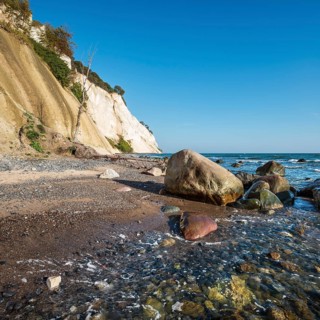 Beach with boulders and uprooted trees at the chalk cliffs of Møns Klint on the Baltic Sea, Møn