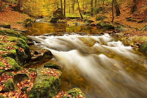 Autumn on the Schwarza river in the Schwarzatal valley between Bad Blankenburg and Schwarzburg,