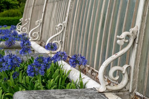 Detail of a greenhouse, Palm House, oldest Victorian greenhouse in the world, Royal Botanic