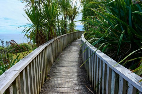 A wooden walkway leads through dense vegetation with a view of the sea, Cathedral Cove, Hahei,