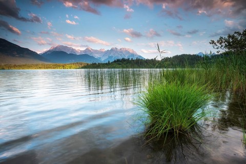 Evening mood at Barmsee with reeds, view of the Karwendel mountains, Krün, Bavaria, Germany, Europe