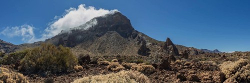 Faded Teide gorse and the summit of Montaña Guajara, also: Alto de Guajara, 2715m, crater walls,