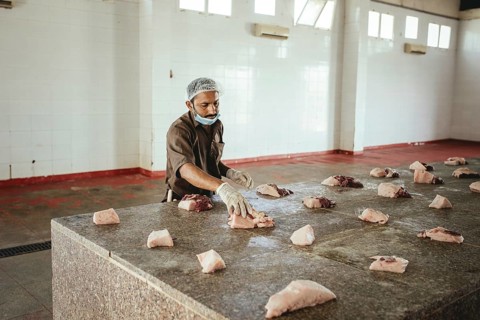 Cutting up a slaughtered dromedary (camelus dromedarius), camel slaughter, Salalah slaughterhouse,