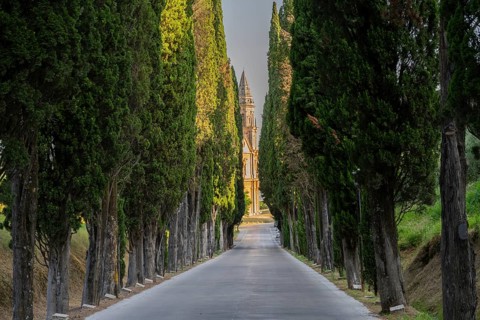 Road going through cypress trees to San Biagio Renaissance Church in autumn, architect Antonio da