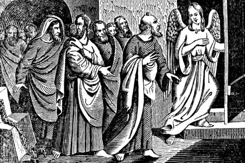 The chief high priest condemns the apostles, an angel frees the apostles from their prison, New