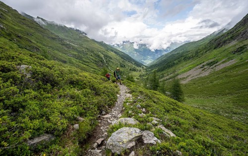 Mountaineer on a hiking trail in Mullitztal, ascent to the Lasörlinghütte from Virgental,