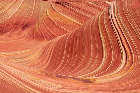 The Wave, impressive sandstone formation with wave-like patterns in various shades of red and