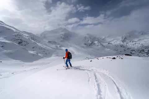 Ski tourers on the descent, behind the summit of Monte Cevedale, snow-covered mountain landscape,