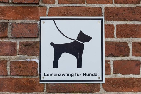 Sign on a wall indicating that dogs must be kept on a lead, Klütz, Mecklenburg-Western Pomerania,