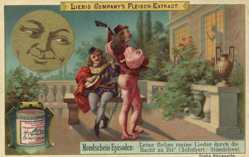 Picture series Moonlight Episodes, Leise flehen meine Lieder durch die Nacht zu dir, Liebig