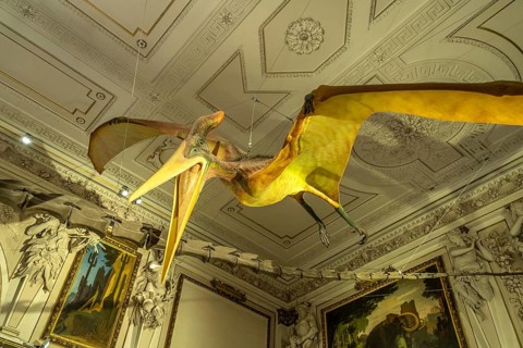 Pteranodon model, pterosaur, Natural History Museum Vienna, Austria, Europe