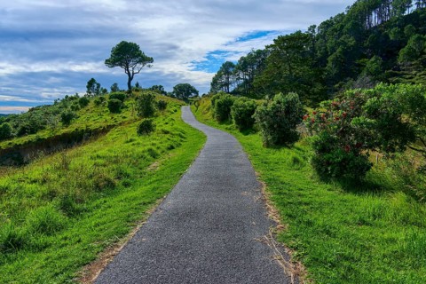 A cobbled path winds through rolling hills and lush greenery under an expansive sky, Cathedral