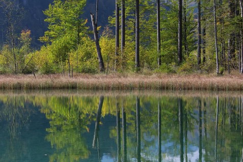 Autumn mood at lake Almsee, Grünau, Austria, Totes Gebirge, Europe