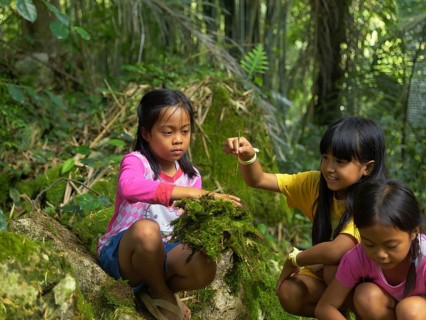 Girls in the forest playing with moss, Tana Toraja, Sulawesi, Indonesia, Asia