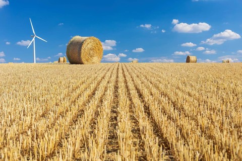 Straw bales on a harvested grain field, stubble field, in the background a wind turbine, Nossen,