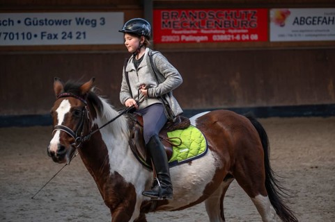 Little girl, 10 years old, on a horse in an indoor riding arena, Mecklenburg-Vorpommern, Germany,
