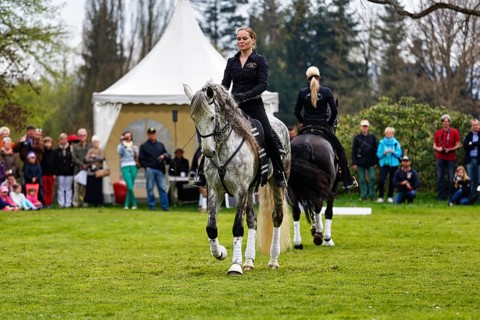 Two female riders, Andalusian, Pura Raza Española, dressage demonstration, audience, Garden