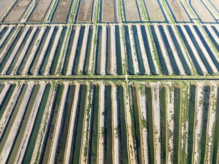 Saline ponds at the salt works of Isla Cristina. Aerial view. Drone shot. Huelva province,