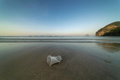 Plastic waste on the beach, Charlie Beach, Koh Mook Island, Andaman Sea, Satun Province, Southern