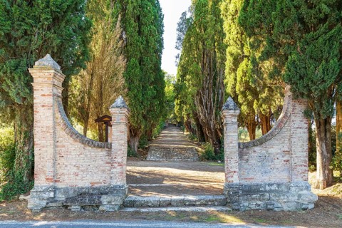 Entrance to Parco Cipressaia with path through columnar cypresses (Cupressus sempervirens),