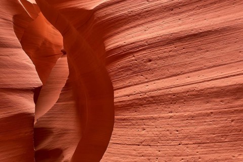 Fascinating sandstone formations in Antelpoe Canyon, showing soft, wave-like structures, Antelope
