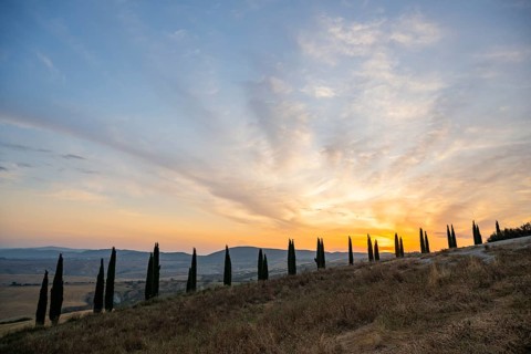 Typical Tuscan landscape in Crete Senesi with hills, trees, fields, cypresses and farm road in