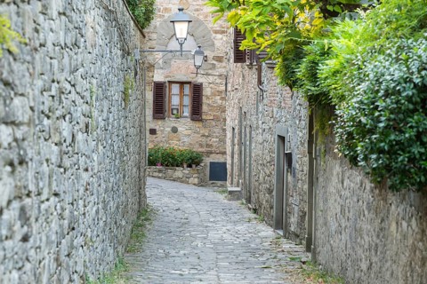View of a little Street in the little wine town of Montefioralle, Chianti, Florence, Firenze,