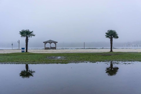 The Seaside Beach, at the Lake Baldeney in Essen, dull, very foggy January day, palm trees are