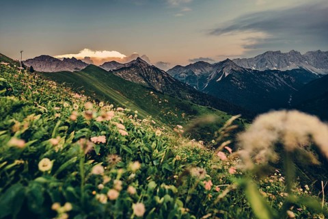 Hiking tour on the Hönig mountain in the Lechtal valley near Berwang in Tyrol, Austria, Europe