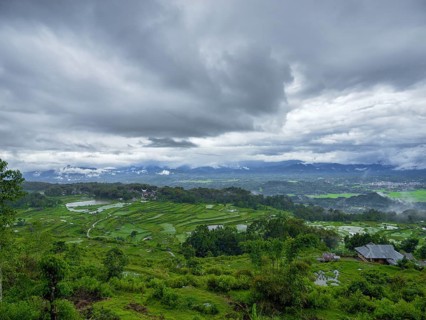 Landscape with green rice terraces, Tana Toraja, Sulawesi, Indonesia, Asia