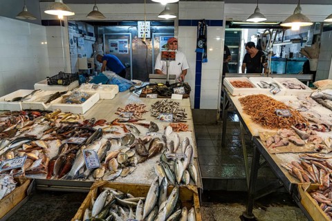 Fresh fish in the market hall of Chania, Crete, Greece, Europe