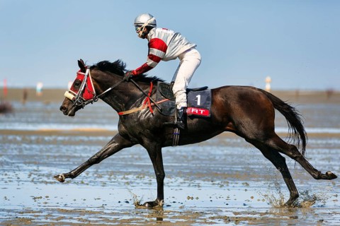 Rider, horse at a gallop, gallop race in the mudflats, Duhner Wattrennen 2019, Duhnen, Cuxhaven,