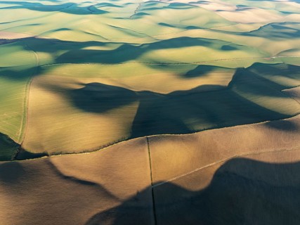 Farmland in the Campiña Cordobesa, the fertile rural area south of the town of Córdoba. Aerial view