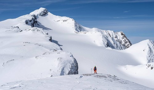 Ski tourers in front of a snow-covered mountain landscape, Wildhorn in winter, Bernese Alps,
